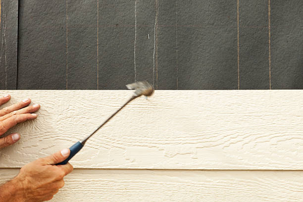 Best Siding Removal and Disposal  in Cumming, GA